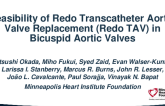 Feasibility of Redo Transcatheter Aortic Valve Replacement (Redo TAV) in Bicuspid Aortic Valves
