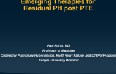 Emerging Therapies for Residual Pulmonary Hypertension After Pulmonary Endarterectomy