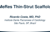 MeRes Thin-Strut Scaffold