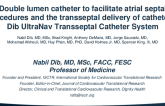 TCT 147: A Double Lumen Catheter to Facilitate Atrial Septal Procedure and the Transseptal Delivery of Catheters: Dib UltraNav Transseptal Catheter System