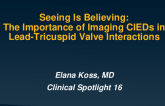 Seeing Is Believing: The Importance of Imaging of CIEDs in Lead-Tricuspid Valve Interactions