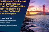 Individual Patient-data Pooled Analysis of Endovascular Ultrasound Renal Denervation or a Sham Procedure at 6 Months in the RADIANCE Clinical Trial Program