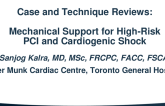 Case and Technique Reviews: High-Risk PCI and Cardiogenic Shock – The Role of Hemodynamic Support