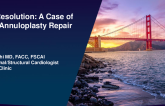Case Resolution: A Case of Failed Annuloplasty Repair