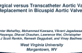 Surgical Versus Transcatheter Aortic Valve Replacement in Bicuspid Aortic Valves