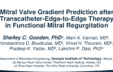 Mitral Valve Gradient Prediction after Transcatheter-Edge-to-Edge Therapy in Functional Mitral Regurgitation