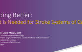 Building Better: What Is Needed for Stroke Systems of Care?