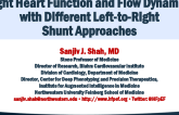 Right Heart Function and Flow Dynamics with Different Left-to-Right Shunt Approaches