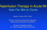 Reperfusion Therapies in Myocardial Infarction: How Far We’ve Come