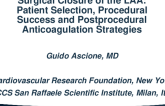 Surgical Closure of the LAA: Patient Selection, Procedural Success, and Postprocedural Anticoagulation Strategies