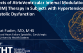 Effects of AtrioVentricular Interval Modulation (AVIM) Therapy in Subjects With Hypertension and Diastolic Dysfunction