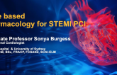 Pharmacology for STEMI PCI: Which Therapies Before, Options During the Case, and Management Post
