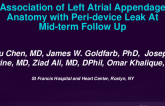 TCT 549: Association of Left Atrial Appendage Anatomy With Peri-Device Leak at Mid-Term Follow Up