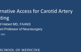 Alternative Access for Carotid Artery Stenting
