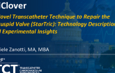 A Novel Transcatheter Technique to Repair the Tricuspid Valve (StarTric): Technology Description and Experimental Insights