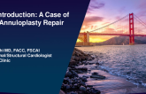 Case Introduction: A Case of Failed Annuloplasty Repair