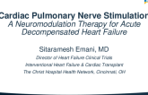 Cardiac Pulmonary Nerve Stimulation - A Neuromodulation Therapy for ADHF