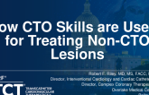 Are CTO Skills Useful for Non-CTO Lesions?