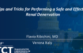Tips and Tricks for Performing a Safe and Effective Renal Denervation (With Video Examples)