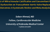 TCT 278: Impact of Mitral Annular Calcification and Concomitant Mitral Valve Disease on Transcatheter Aortic Valve Replacement Outcomes: A Systematic Review and Meta-Analysis