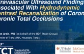 TCT 403: Intravascular Ultrasound Findings Associated With Hydrodynamic Contrast Recanalization of Coronary Chronic Total Occlusions