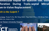 TCT 1249: Endovascular Repair for Massive Iliac Vein Perforation During Trans-Septal Mitral Valve-in-Valve Replacement: Which Is the Culprit?