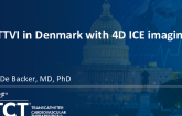 Transcatheter Tricuspid Valve Interventions in Denmark with 4D ICE imaging