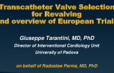 Transcatheter Valve Selection for Revalving and Overview of European Trials