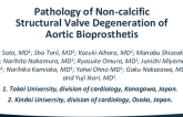 TCT 955: Pathology of Non-calcific Structural Valve Deterioration in Transcatheter and Surgical Aortic Bioprosthesis
