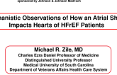 Mechanistic Observations of How an Atrial Shunt Impacts the Hearts of HFrEF Patients