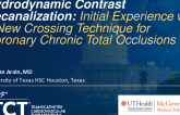 TCT 399: HydroDynamic Contrast Recanalization (HDR): Initial Experience With a New Crossing Technique for Coronary Chronic Total Occlusions
