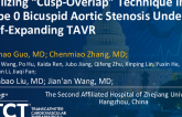 TCT 902: Utilizing “Cusp-Overlap” Technique and in Type 0 Bicuspid Aortic Stenosis Undergo Self-Expanding TAVR