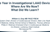 The Year in Investigational LAAO Devices: Where Are We Now? What Did We Learn?
