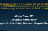 Leaflet laceration using "Percutaneous balloon valvotomy": Utilizing UNICORN (Undermining Coronary Obstruction with Radiofrequency Needle ablation) for TAVR in TAVR.