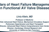 Pillars of Heart Failure Management in Functional AV-Valve Disease