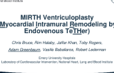 Intramyocardial Cinching of the Dilated LV: The MIRTH Approach