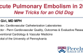 Pulmonary Embolism and Venous Disease: The Hottest Frontier of Endovascular Intervention