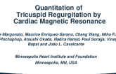 Quantitation of Tricuspid Regurgitation by Cardiac Magnetic Resonance