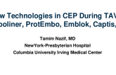 Novel Technologies in CEP During TAVR: Emboliner, ProTembo, Emblok, Filterex, and Others