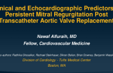 TCT 338: Clinical and Echocardiographic Predictors of Persistent Mitral Regurgitation Post Transcatheter Aortic Valve Replacement