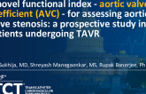 TCT 647: A Novel Functional Index - Aortic Valve Coefficient (AVC) - For Assessing Low Flow-Low Gradient Aortic Valve Stenosis: A Prospective Study in Patients Undergoing TAVR