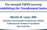 The Medtronic Intrepid Journey