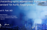 Pro: Echocardiographic Assessment Is Still the "Gold Standard" for AR