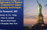 Transcatheter Edge-to-Edge Approach to Repair Large Coaptation Gaps: The Zipping Technique