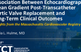 TCT 852: Association Between Echocardiographic Mean Gradient Post-Transcatheter Aortic Valve Replacement and Long-Term Clinical Outcomes: Insights From the Massachusetts Cardiovascular Registry
