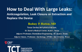 How to Deal With Large Leaks: Anticoagulation, Leak Closure or Extract and Replace the Device?