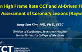 Fusion High Frame Rate OCT and AI-Driven FFR for the Assessment of Coronary Lesions (Raywatt)