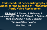 Periprocedural Echocardiography Is Critical for the Success of Transcatheter Aortic Valve Replacement