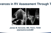 Advances in RV Assessment Through TTE
