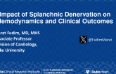 Impact of Splanchnic Denervation on Hemodynamics and Clinical Outcomes